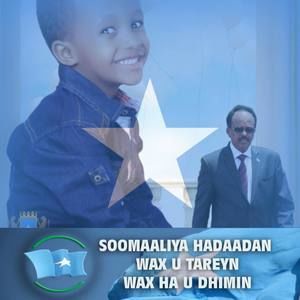 Meet your Posher, Abdi